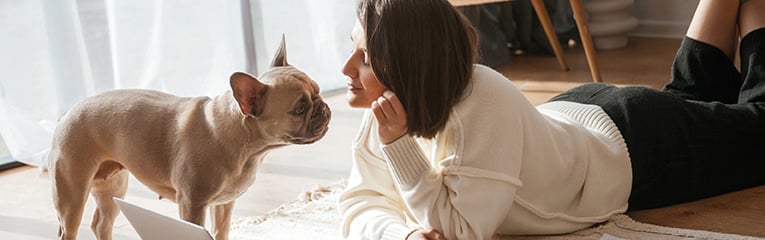 Cute pug is looking at his owner. Young woman with laptop at home