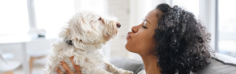 Portrait of happy mature woman sitting indoors at home, playing with dog